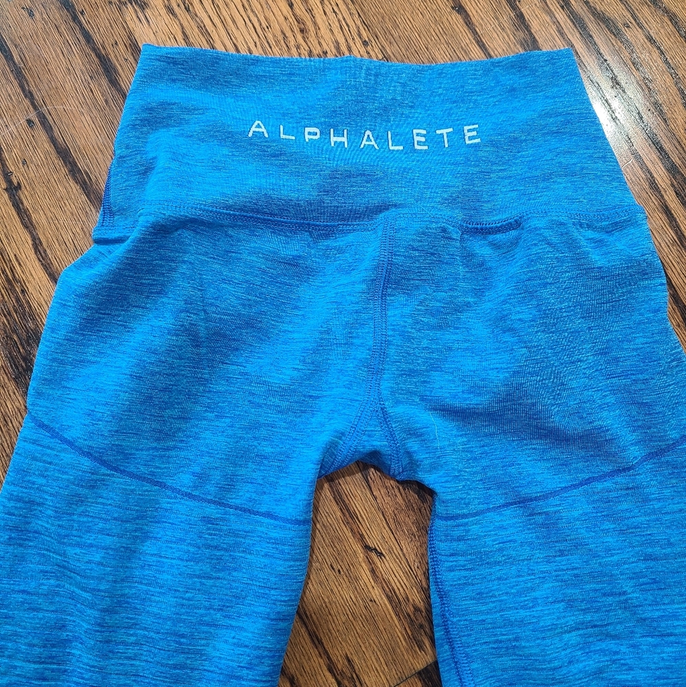 Alphalete Og Seamless Leggings Gem
